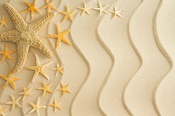 Estrella de mar en arena dorada de playa con líneas onduladas — Foto de Stock