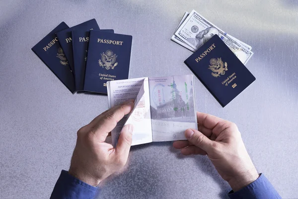 Customs or border official checking a passport — Stock Photo, Image