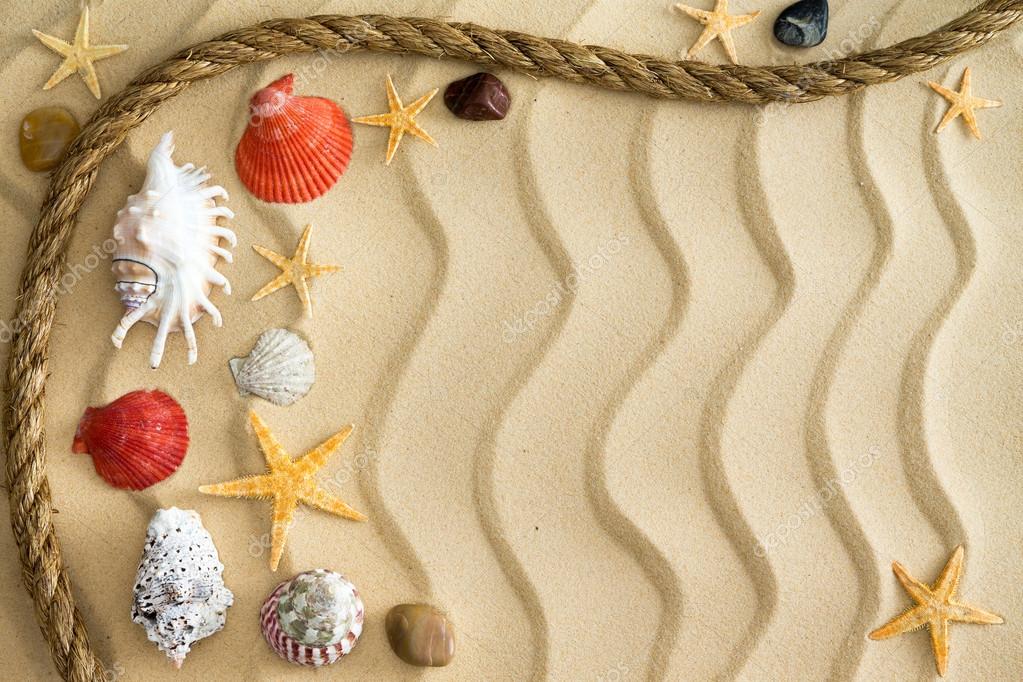 https://st.depositphotos.com/1292552/4568/i/950/depositphotos_45680131-stock-photo-pebbles-and-seashells-on-rippling.jpg