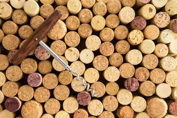 Background texture of neatly arranged corks — Stock Photo, Image