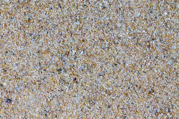 ビーチの砂の背景・葉脈のテクスチャ — ストック写真