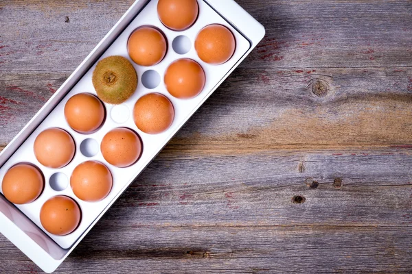 One different kiwifruit in a tray of eggs — Stock Photo, Image