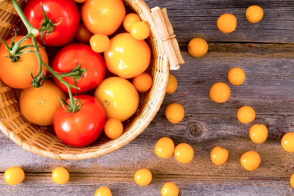 Fresh red and yellow tomatoes — Stock Photo, Image
