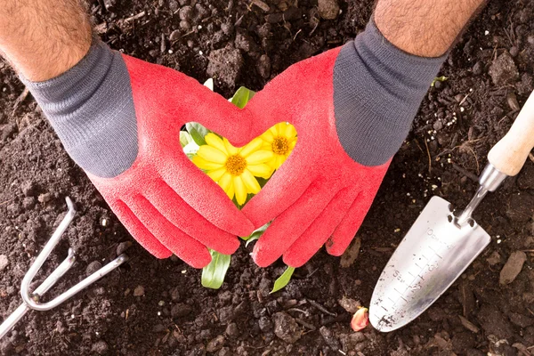 Gardener making a heart with his gloved hands — Stock Photo, Image