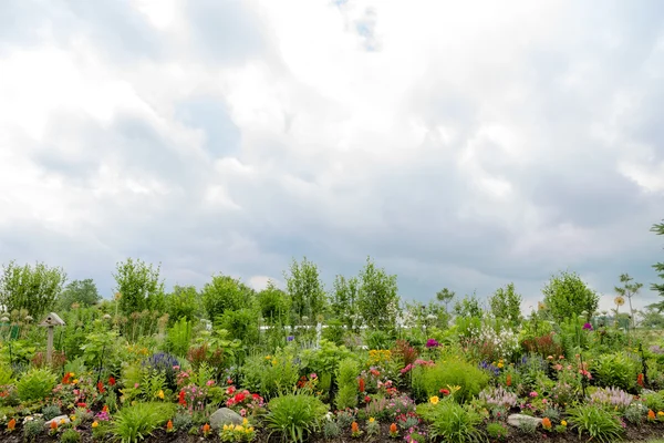 美しいフォーマルなフラワー ガーデン、上記のコピー スペース — ストック写真