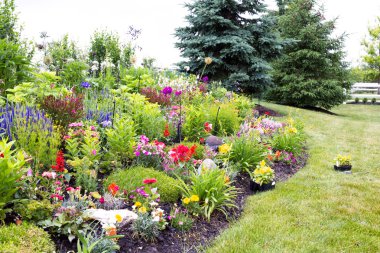 Colorful landscaped celosia flower garden clipart