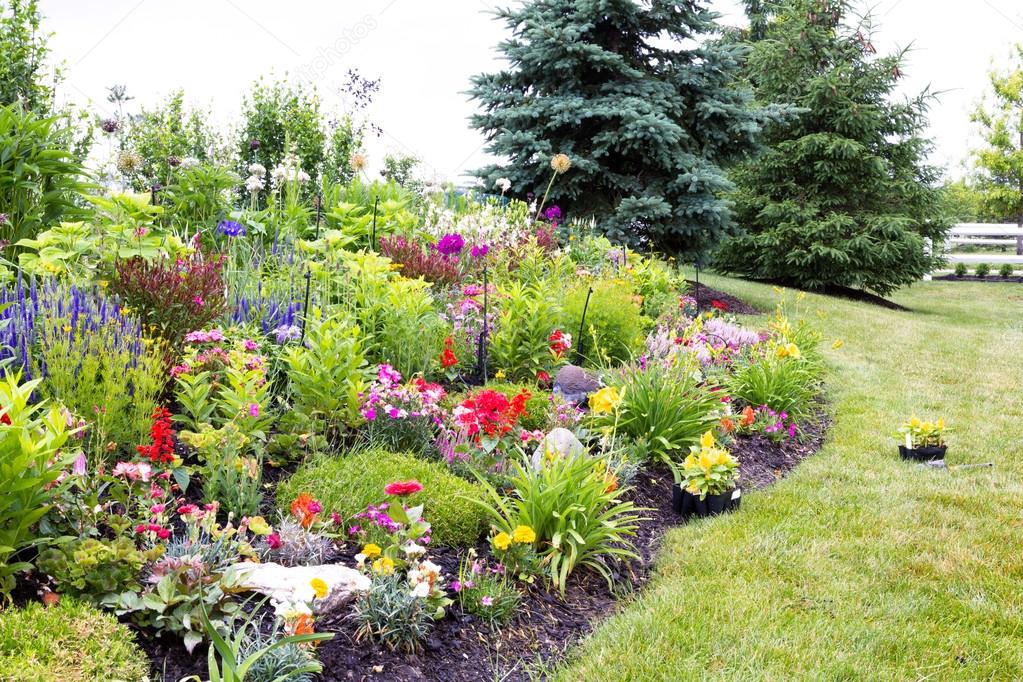 Colorful landscaped celosia flower garden