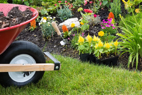 Wheelbarrow alongside a newly planted flowerbed — Stock Photo, Image