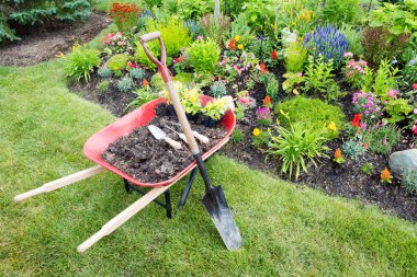 Garden work being done landscaping a flowerbed clipart