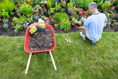 Gardener landscaping a garden clipart