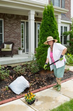 yaşlı bayan bir flowerbed ekime hazırlanması