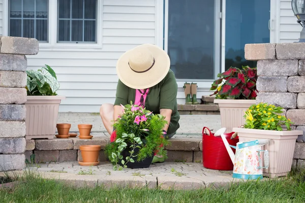 Idoso senhora potting up novas plantas de sala — Fotografia de Stock