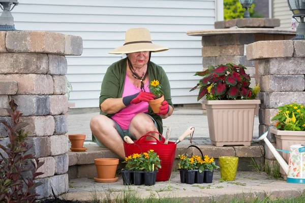 Senior dame potgrond van planten in bloempotten — Stockfoto