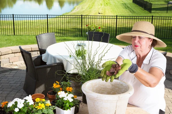 Senior gardener potting up a large planter — Stock Photo, Image