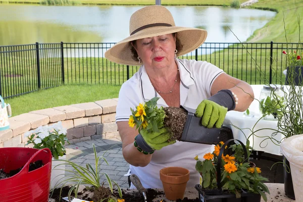 Dame aînée retirant un pot attaché à une racine d'un pot — Photo