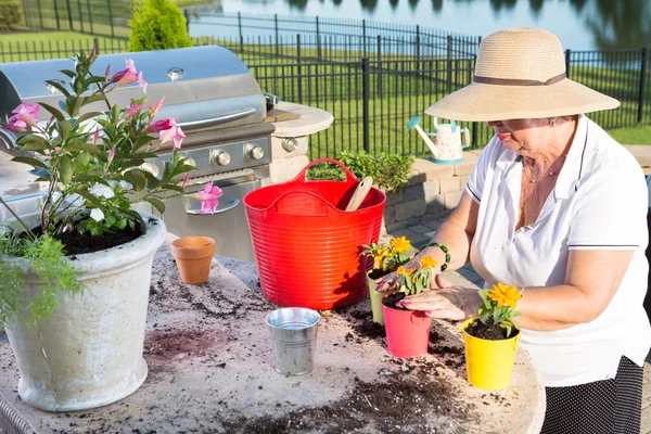 Active senior woman potting ornamental flowers — Stock Photo, Image