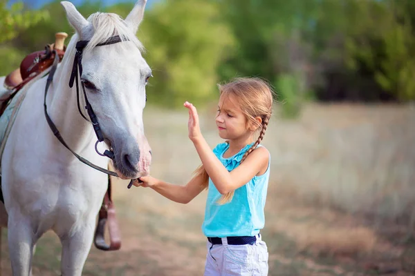 Rapariga Está Acariciar Pónei Branco Criança Comunica Com Cavalo Vida Imagens Royalty-Free