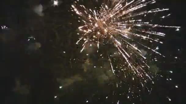 Exibição de fogo de artifício — Vídeo de Stock