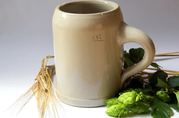 Beer Mug, Hops and Barley — Stock Photo, Image