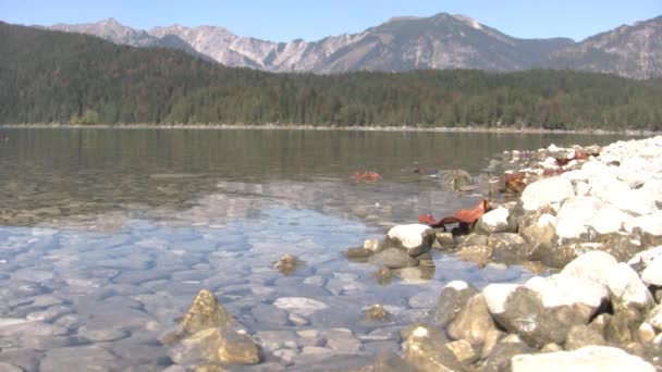 Cena pacífica na margem de um lago — Vídeo de Stock