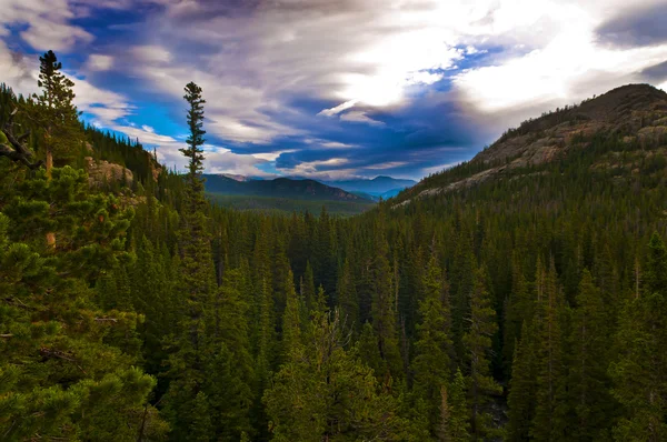 Колорадо Пейзаж — стоковое фото