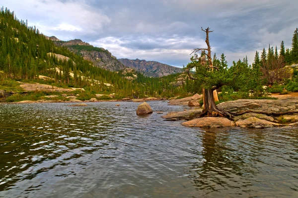 Moinhos lago colorado — Fotografia de Stock