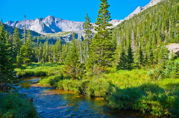 Buzul creek — Stok fotoğraf