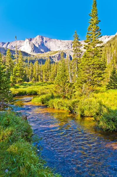 Buzul creek — Stok fotoğraf