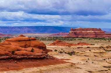 La salle dağlardan iğneler