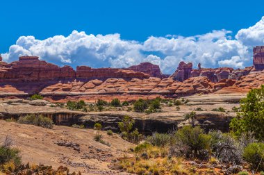 iğneler utah İlçe