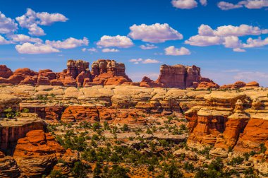 canyonlands iğneler