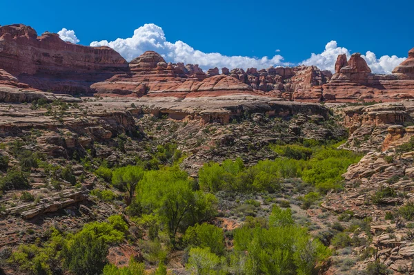 Distretto degli aghi Utah — Foto Stock