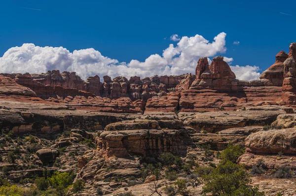 Distretto degli aghi Utah — Foto Stock