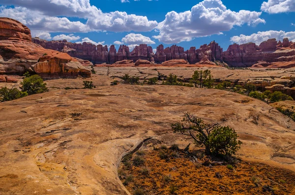 The Needles — Stock Photo, Image