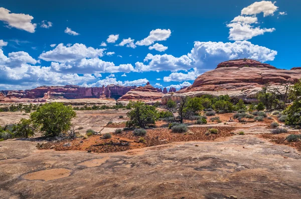 Agujas distrito canyonlads — Foto de Stock