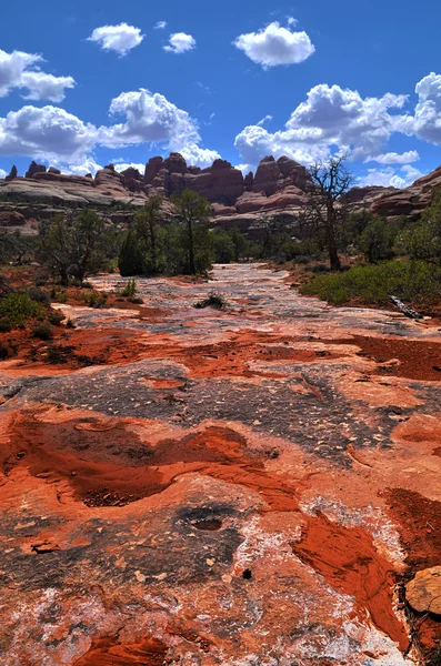 Elefante Hill Trail — Foto de Stock