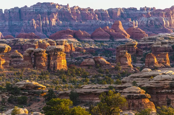 Sunrise in Needles District — Stock Photo, Image