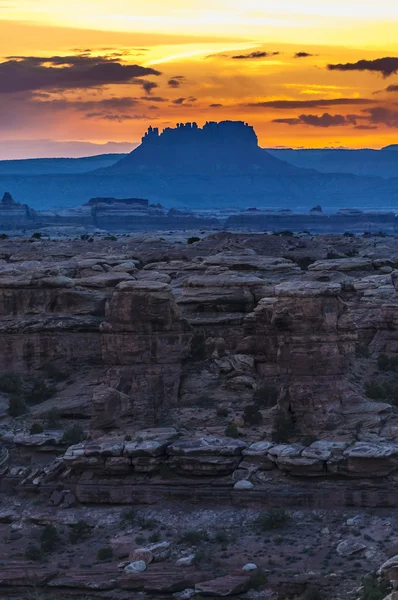 Sunrise iğneler bölgesinde — Stok fotoğraf