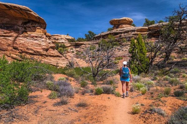 Female Hiker in Needles — Stock Photo, Image