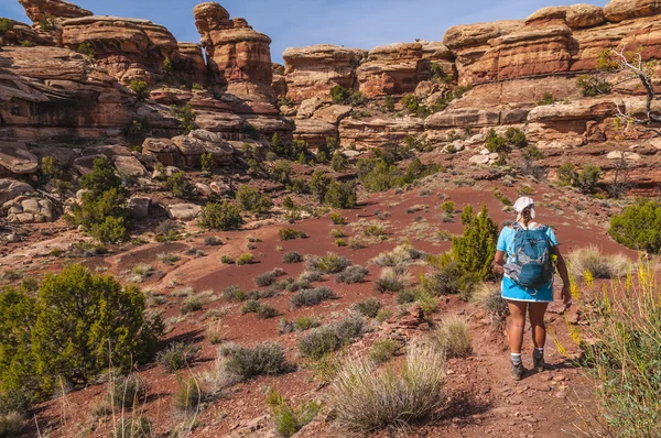 Female Hiker in Needles — Stock Photo, Image