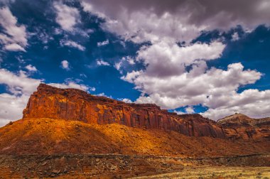 iğneler oluşumları