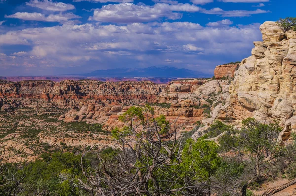 Formations rocheuses près de Beef Basin Road Needles — Photo