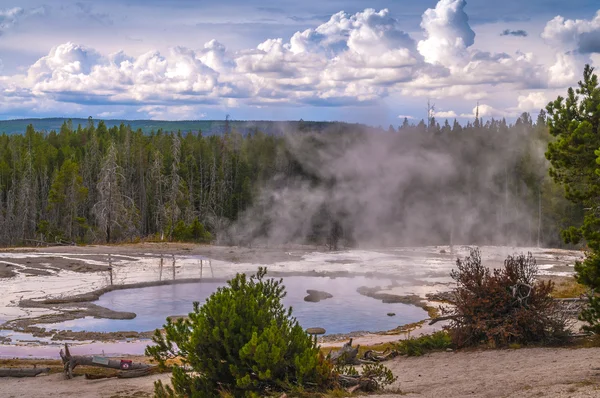 Ensam geyser — Stockfoto