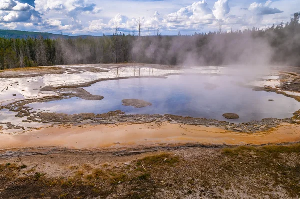 Ensam geyser — Stockfoto