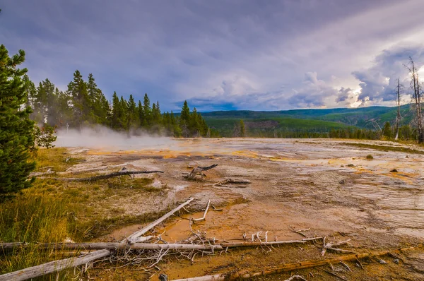 Solitary Geyser — Stock Photo, Image