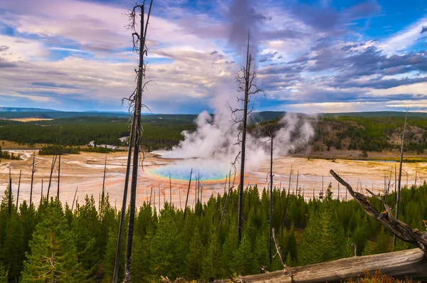 Grand geyser prismatique d'en haut — Photo