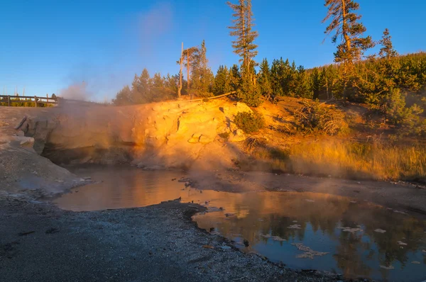 Green Dragon Spring — Stock Photo, Image