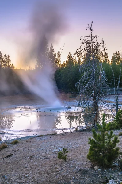 Norris geyser basin efter solnedgången — Stockfoto