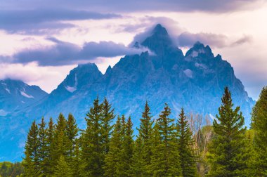 Grant sonbahar tetons Milli Parkı