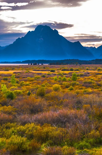 Caída en Grand Tetons — Foto de Stock